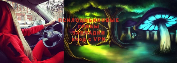 прущий лед Арсеньев