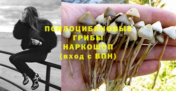 прущий лед Арсеньев