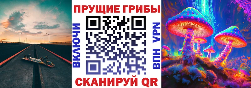 цена   blacksprut зеркало  Псилоцибиновые грибы Cubensis  Похвистнево 